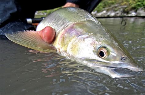fishing porn|'fishing' Search .